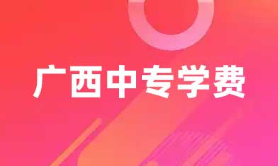 广西中专的学费可以申请助学贷款吗？